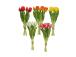 Kunstlill FLOWERLY H30cm 5-ne tulp, mix