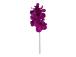 Orhidee FLOWERLY H60cm, mix