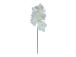 Orhidee FLOWERLY H60cm, mix