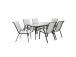 Aiamööblikomplekt DUBLIN laud ja 6 tooli, hõbehall