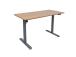 Töölaud ERGO LIGHT 1-mootoriga 120x60cm, hõbehall/tamm