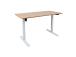Töölaud ERGO LIGHT 1-mootoriga 120x60cm, valge/tamm