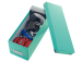 Pappkast kaanega CD/DVD LEITZ Click & Store 143x136x352mm türkiis