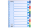 Registri vahelehed ESSELTE Maxi A4+ 10 värvi plast