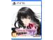 Tales of Berseria Remastered, PlayStation 5 - Mäng