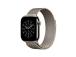 Apple Milanese Loop, 46 mm, S/M, roostevaba - Kellarihm
