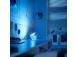 Philips Hue Iris Special Edition, hõbedane - LED lamp