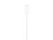 Apple Watch Magnetic Fast Charger, USB-C, 1 m, valge - Laadimisadapter