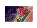 Sonic Racing: CrossWorlds, Nintendo Switch 2 - Mäng