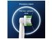 Braun Oral-B Precision Clean Pro, 8 tk, valge - Varuharjad