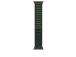 Apple Watch Alpine Loop, 49 mm, Large, must titaan, tumeroheline - Kellarihm