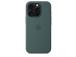 Apple Silicone Case with Magsafe, iPhone 16 Pro, roheline - Ümbris