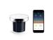 Netatmo Rain Gauge, must - Vihmaandur