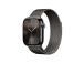 Apple Milanese Loop, 46 mm, M/L, hall - Kellarihm