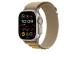 Apple Watch Alpine Loop, 49 mm, Medium, titaan, pruun - Kellarihm