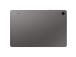 Samsung Galaxy Tab S9 FE, 10,9'', WiFi + 5G, 6 GB, 128 GB, hall - Tahvelarvuti