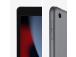 Apple iPad (2021), 10,2",  64 GB, WiFi, kosmosehall - Tahvelarvuti