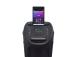 Peokõlar JBL Partybox 310