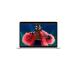 Apple MacBook Air 15'' (2024), M3 8C/10C, 16 GB, 512 GB, RUS, kuldne - Sülearvuti
