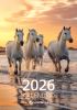Flaier kataloog Sulemees 2026
