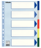 Registri vahelehed Esselte Maxi A4+ 5värvi plast